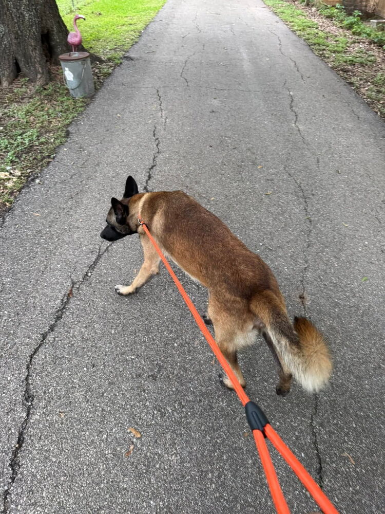 Remington - Located in TX