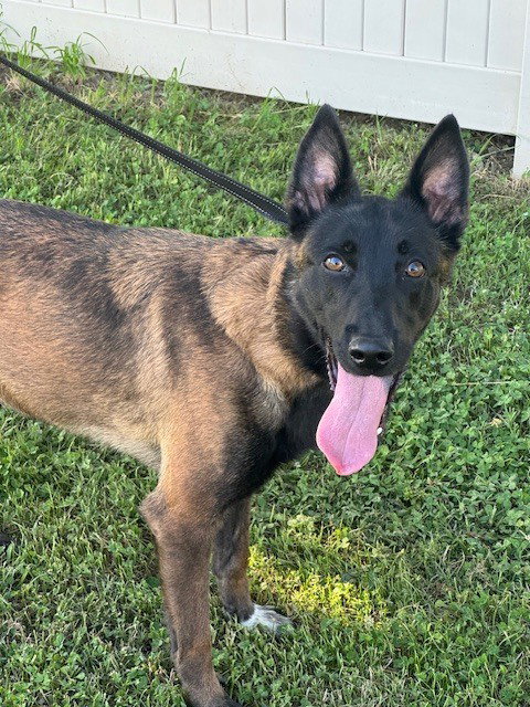 Keira - Located in OK