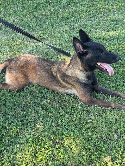 Keira - Located in OK