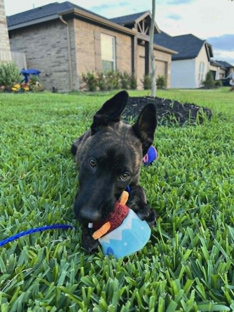 Rita - Located in TX