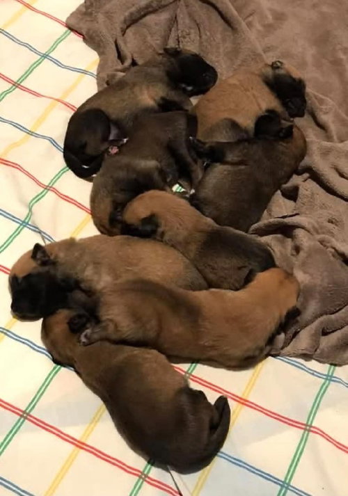 Oceans litter - Caspian Located in California