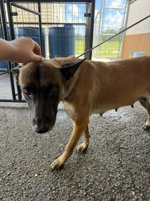 Tatum - Located in FL