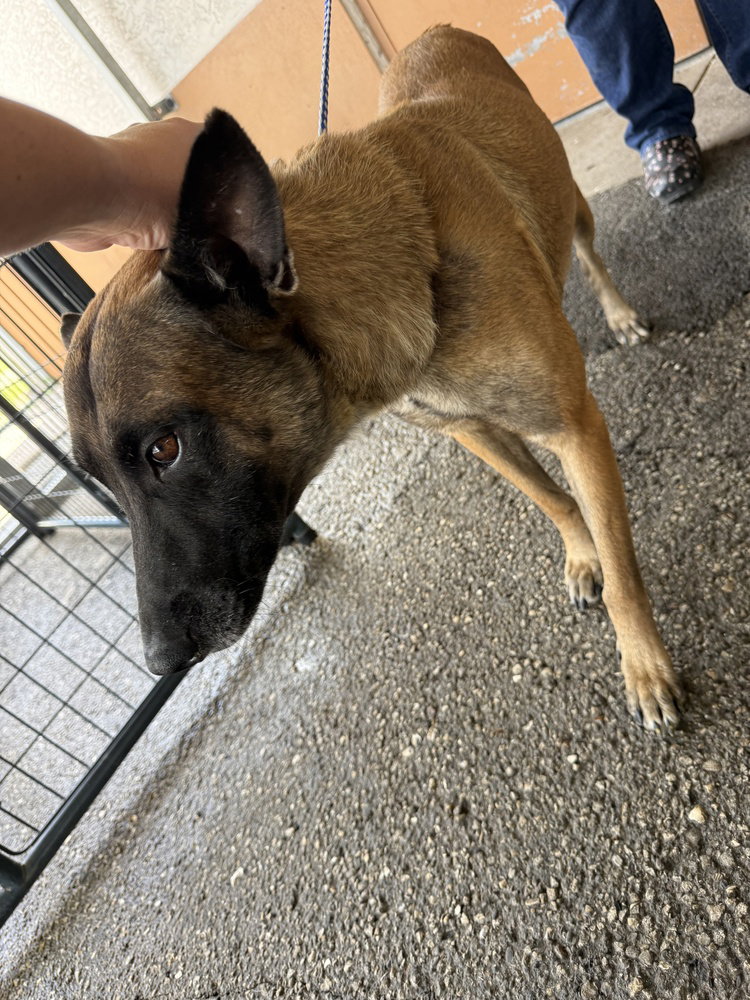 Tatum - Located in FL