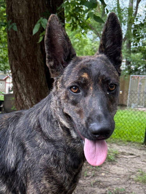 Sidney Located in TX
