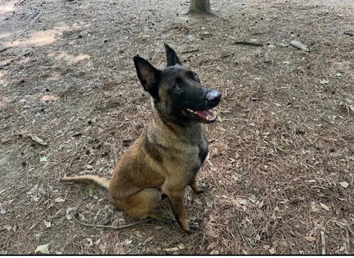 Judge - Located in Arkansas