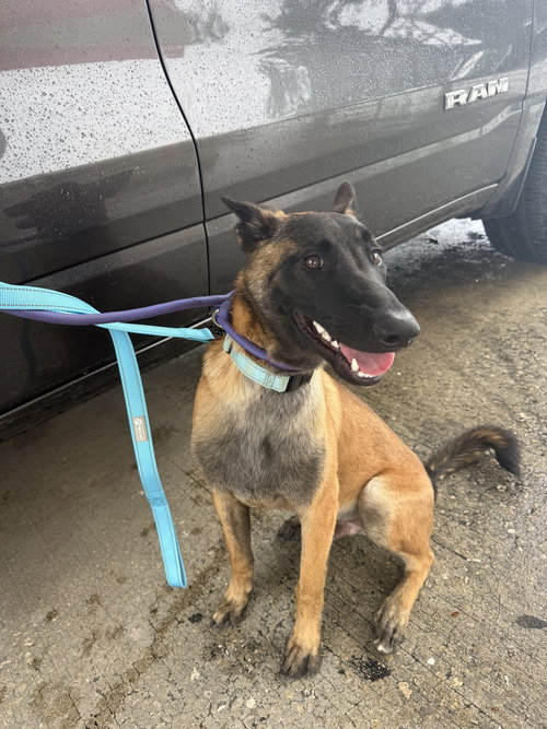 Canelo - Located in FL