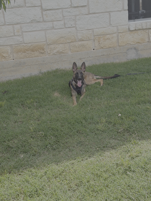 Winnie (The Pooch)- Located in Oklahoma
