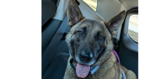 Bianca located in Michigan