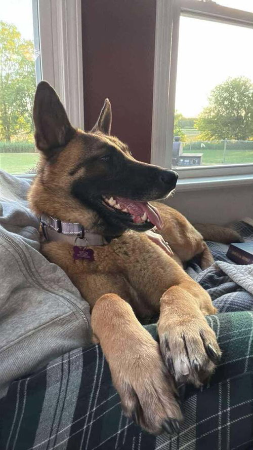 Photo 2 of Bianca located in Michigan