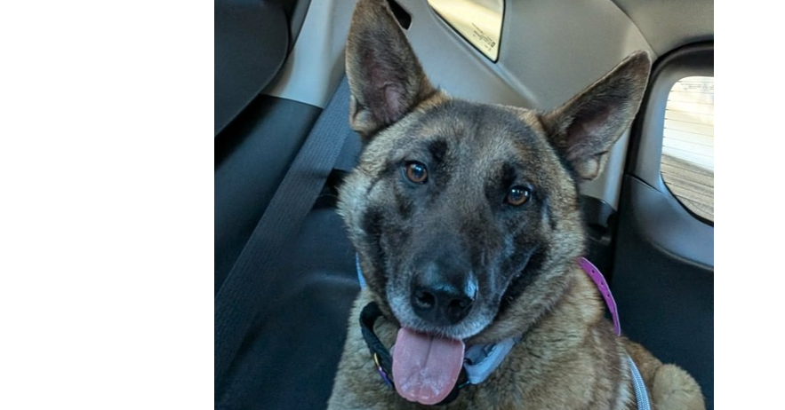 Bianca located in Michigan