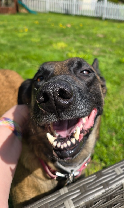 Trixi - Located in MA