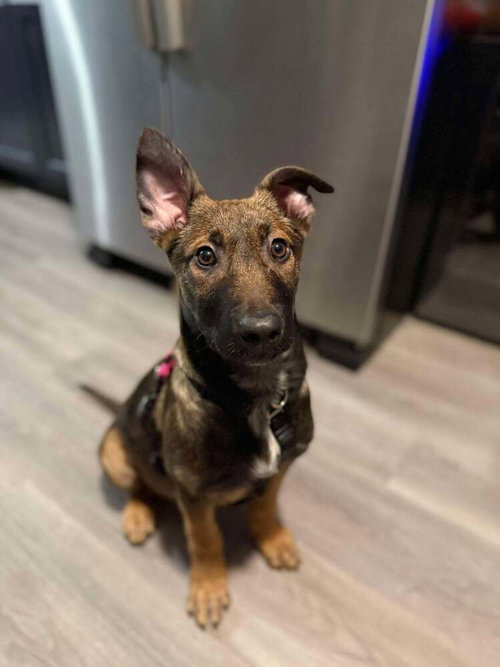 Freya fka Getaway Girl Paris- Located in MI