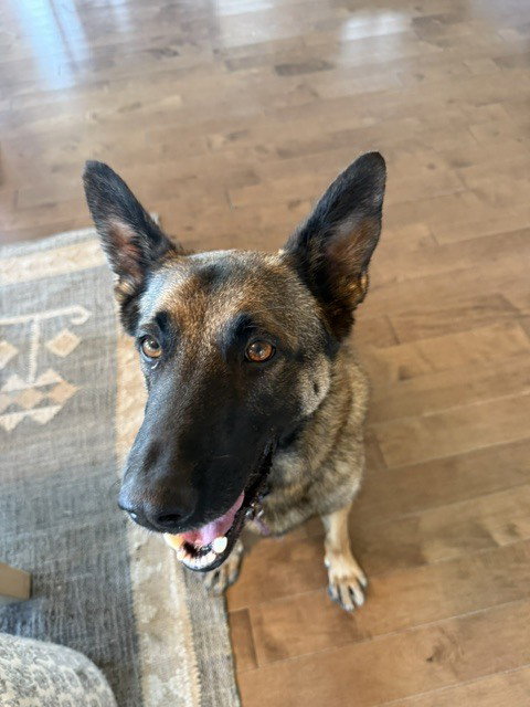 Ciro in CA
