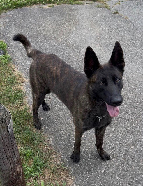 Striker Located In Connecticut photo 2