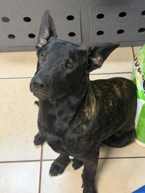 Kristoff- Located in Florida