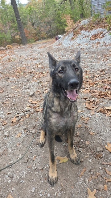 Bodie located in Missouri