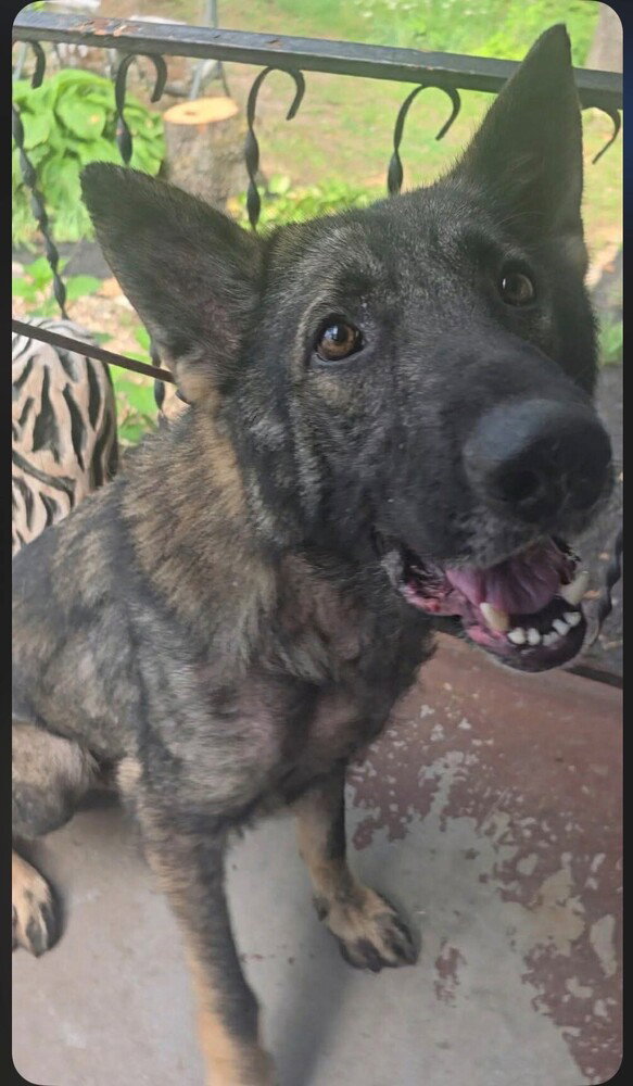 Bodie located in Missouri, photo 4