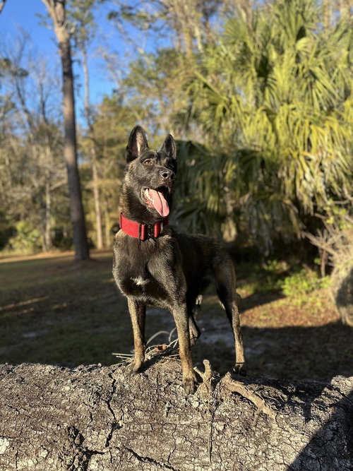 Photo 4 of Omen - Located in FL