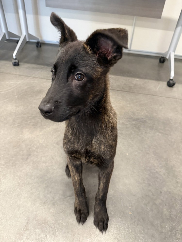 Larry - Located in GA
