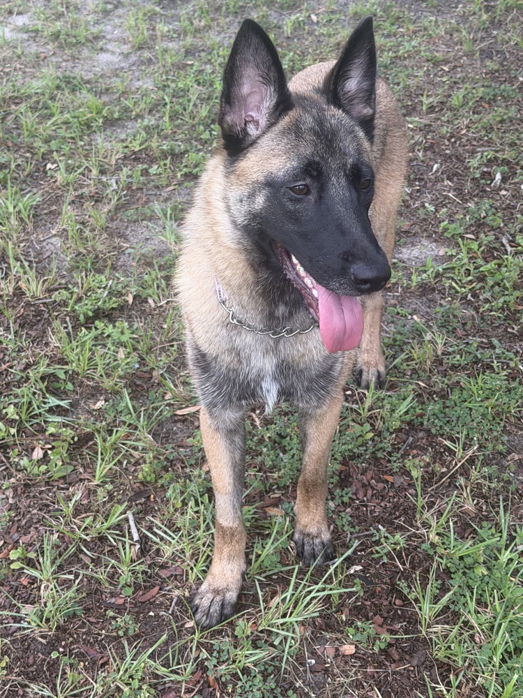 Mindy - located in Florida, photo 2