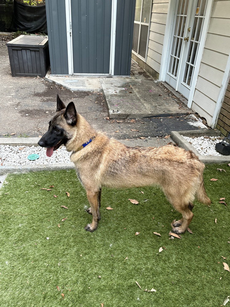 Mindy - located in Florida, photo 3