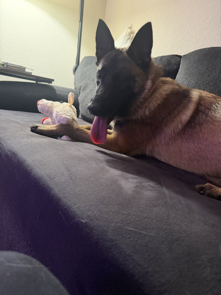 Mindy - located in Florida, photo 4