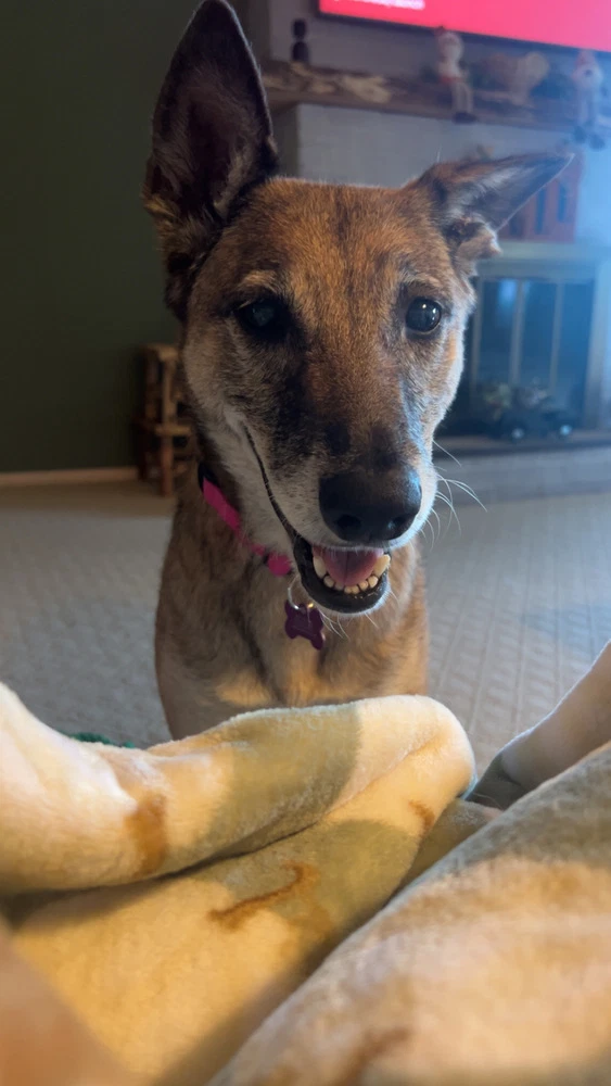 Celia - Located In Georgia