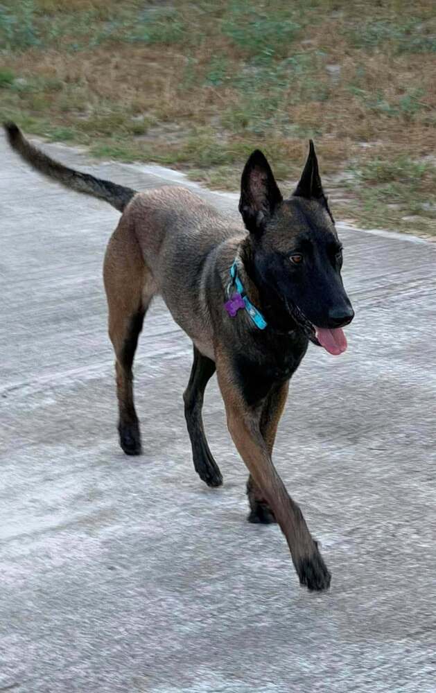 Callisto FKA Nili - Located In Texas