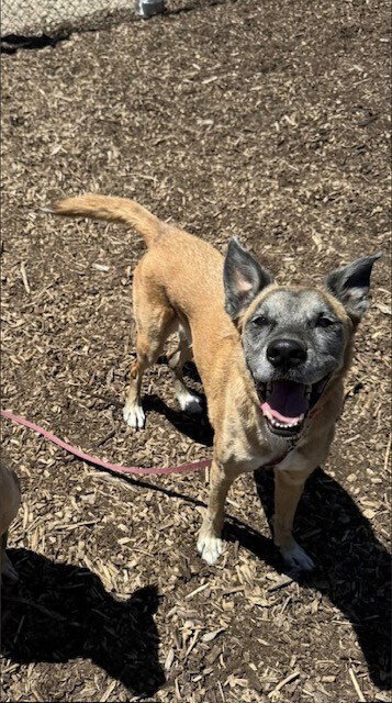 Photo 2 of Nipsey Located in Nebraska