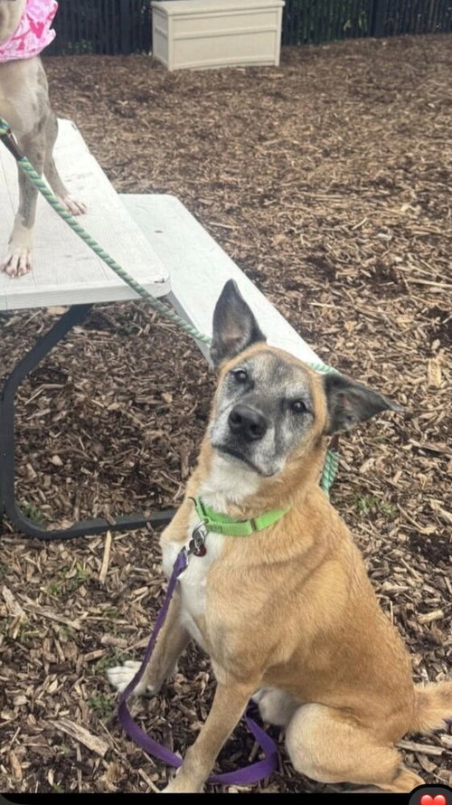 Photo 3 of Nipsey Located in Nebraska