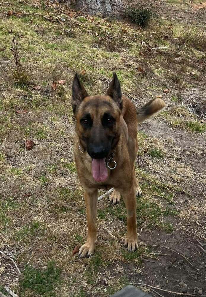 Jasper FKA Duncan located in California, photo 2
