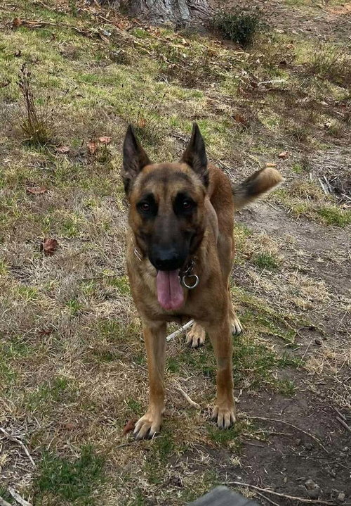 Photo 2 of Jasper FKA Duncan located in California