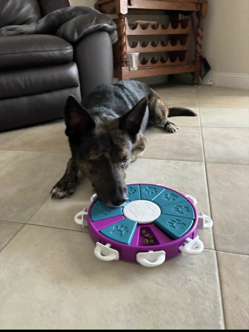 Photo 4 of Maya - Located in Florida