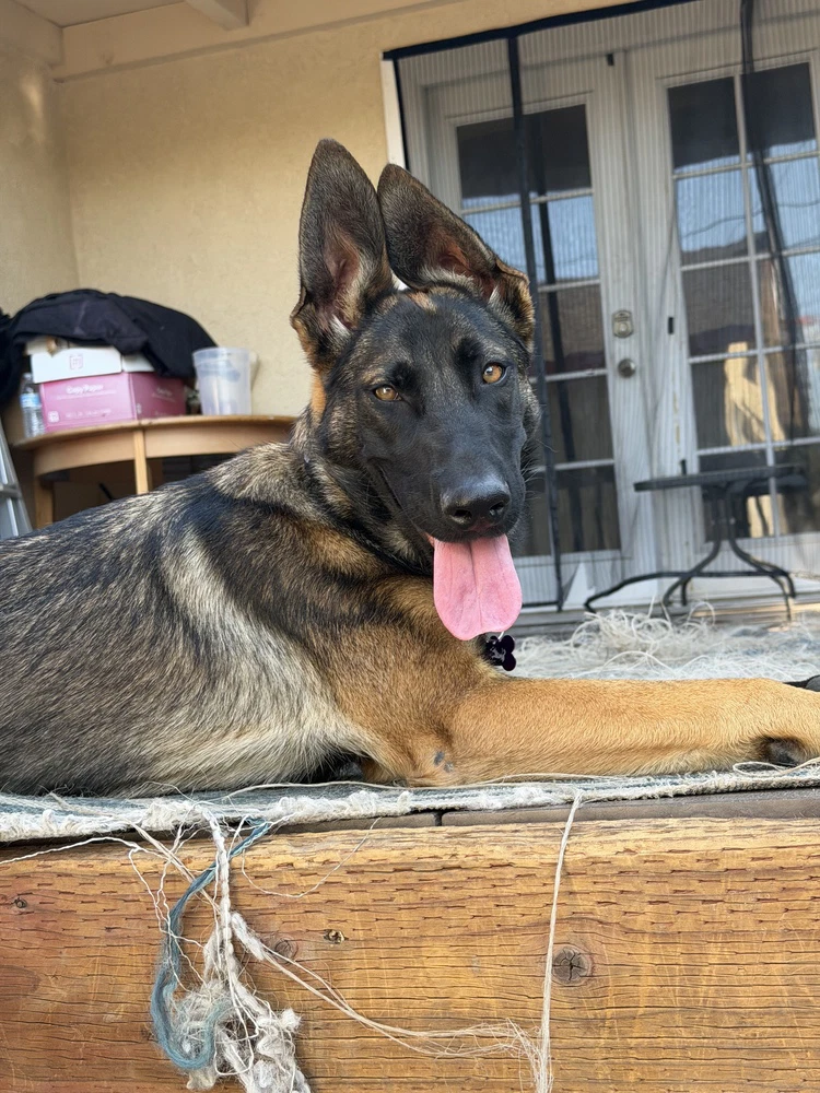 Dory- Located In California