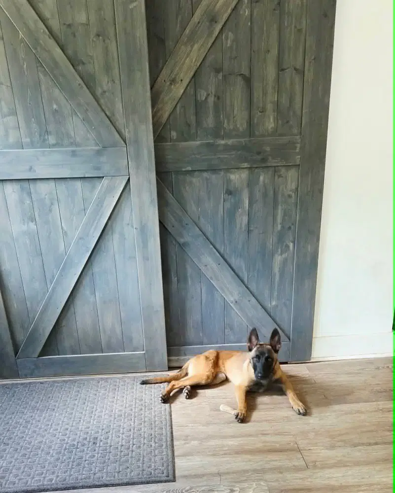 Nacho - Located In Georgia image 2
