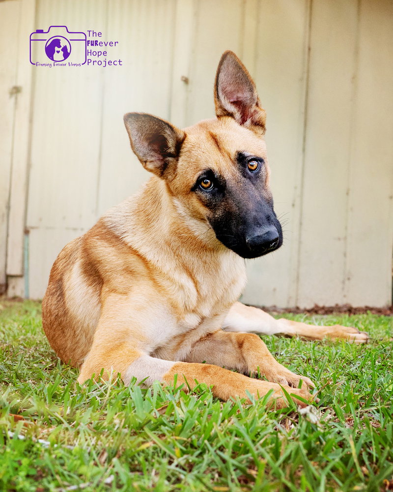 Mimi - Located in FL