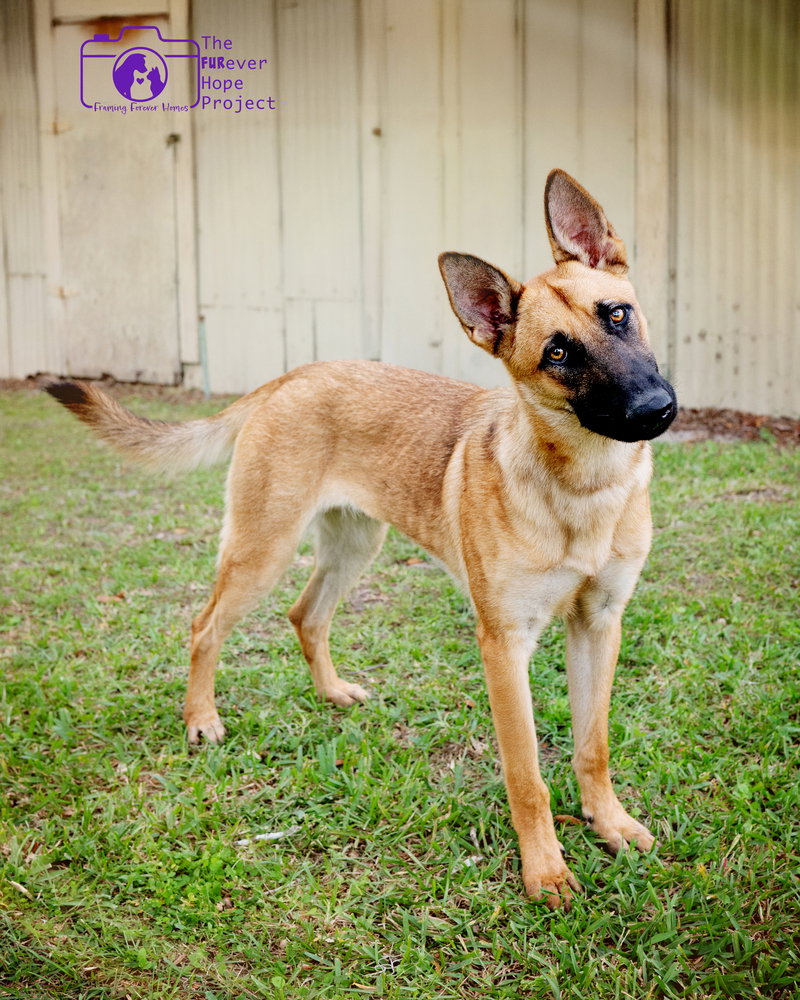 Mimi - Located in FL, photo 2