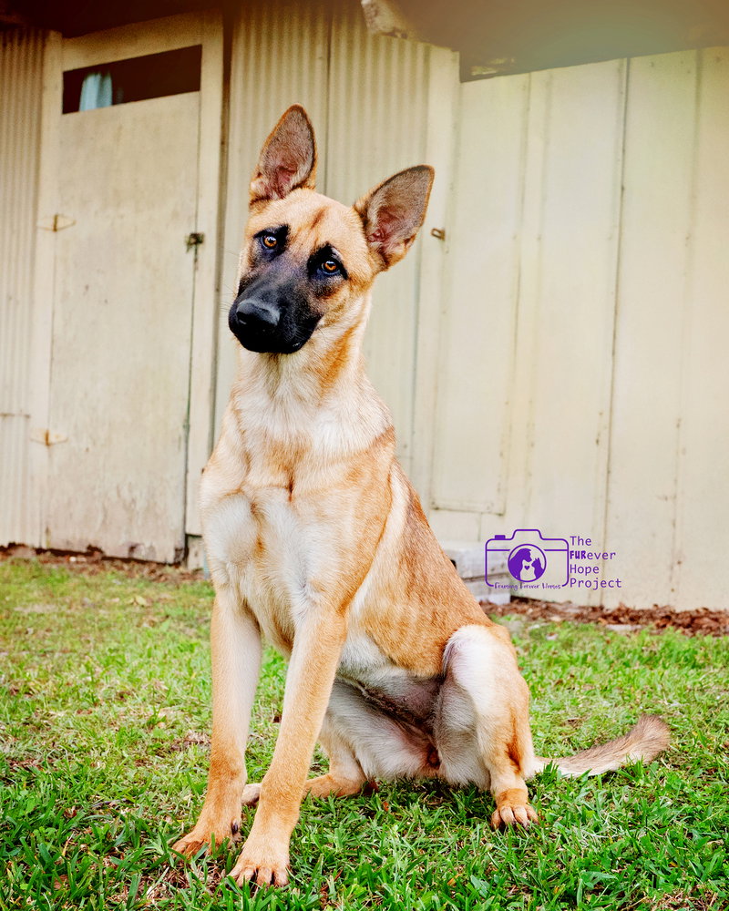 Mimi - Located in FL, photo 4