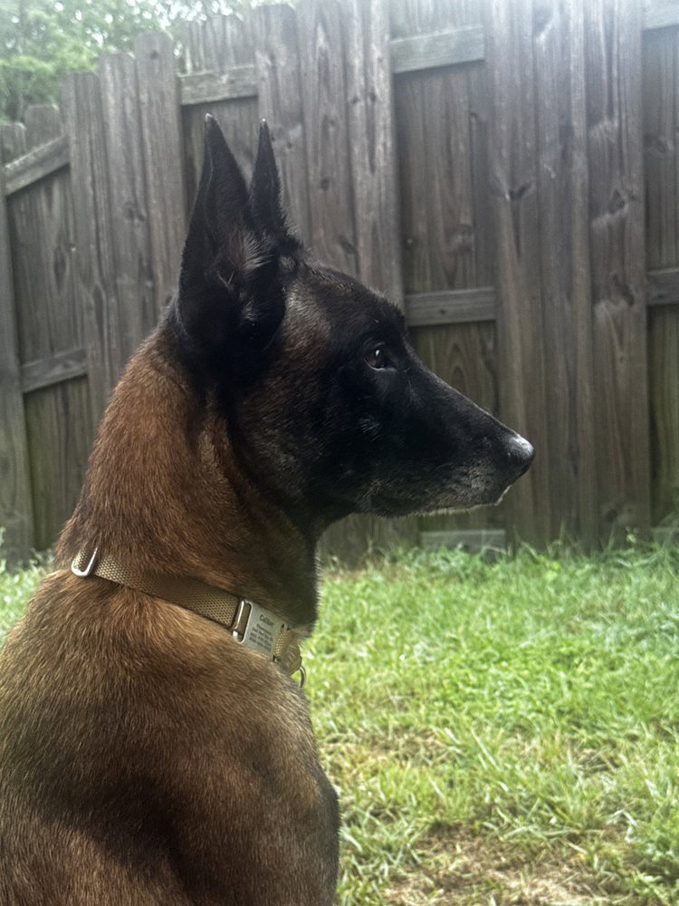 Country Queens - Reba - Located in FL