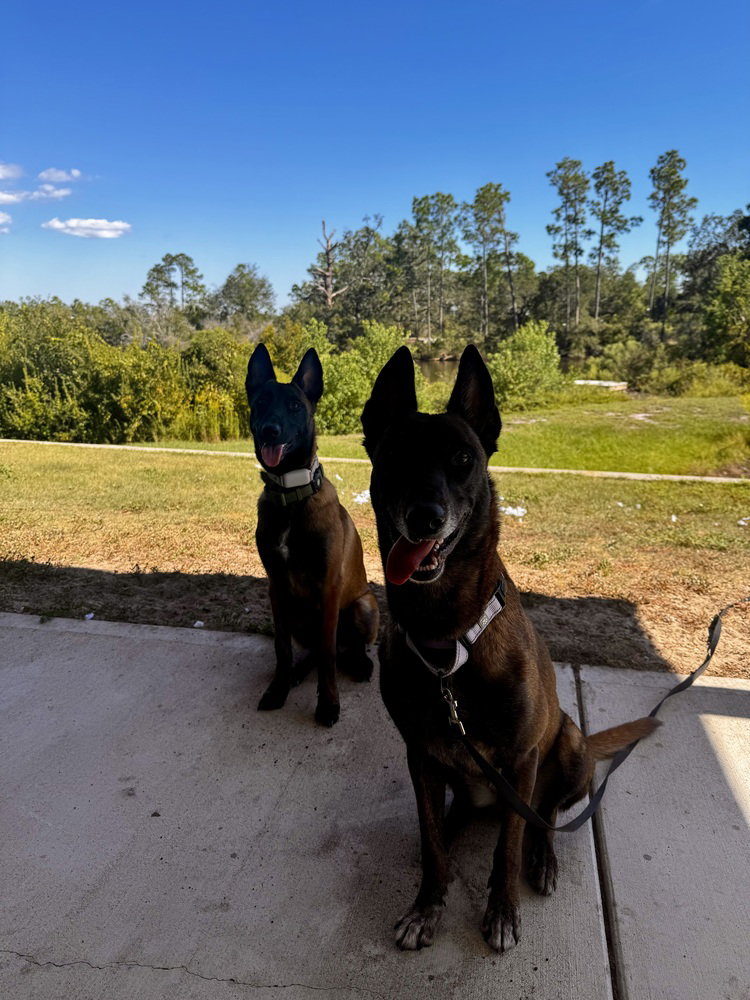 Country Queens - Reba - Located in FL, photo 3
