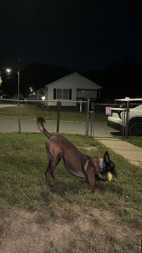 Photo 2 of Brock - Located in Tennessee