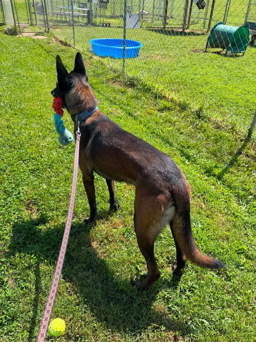 Photo 3 of Brock - Located in Tennessee