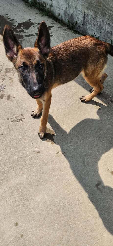 Pilot - Located In Oklahoma