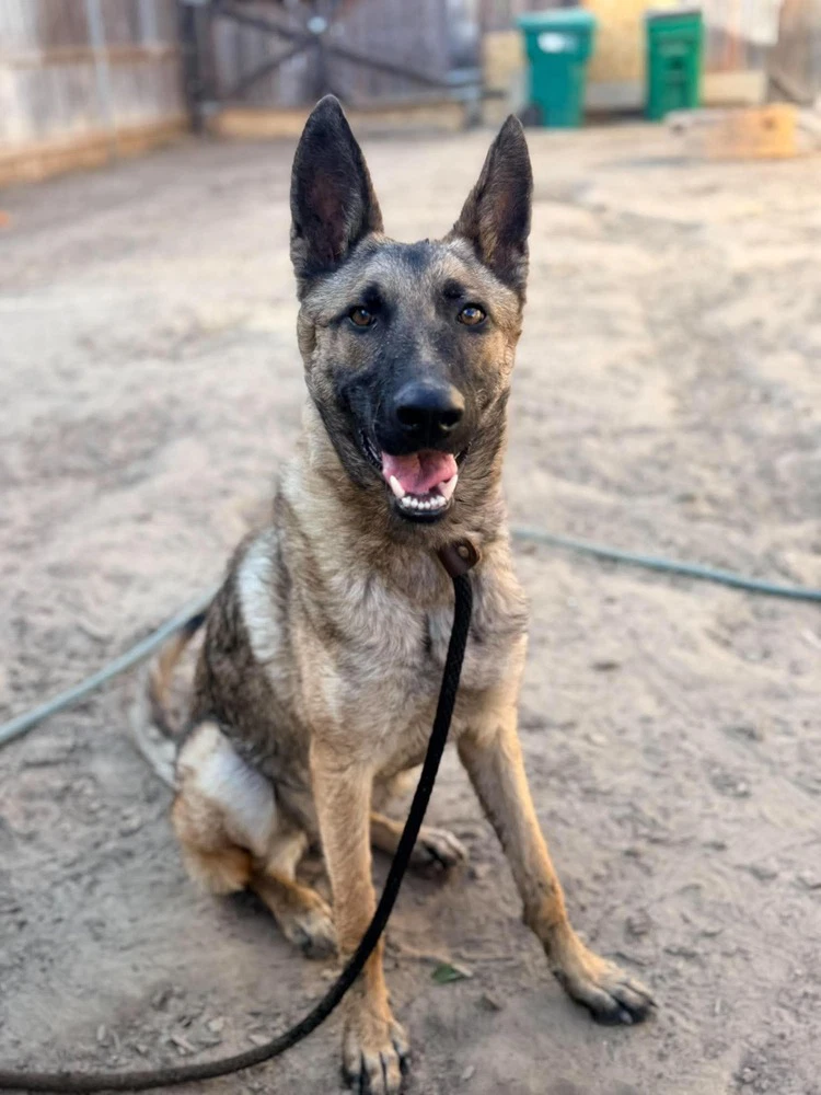 Bria- Located In California