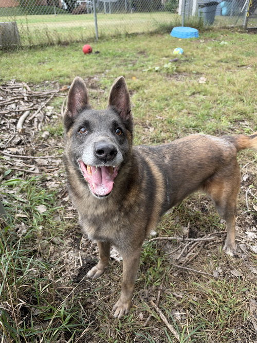 Photo 2 of Mabel located in NC