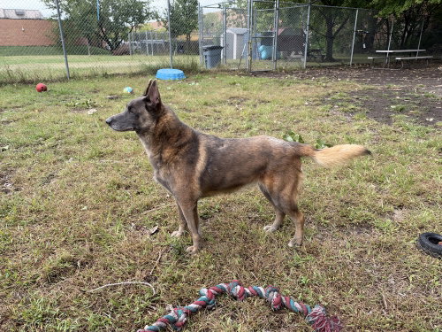 Photo 3 of Mabel located in NC