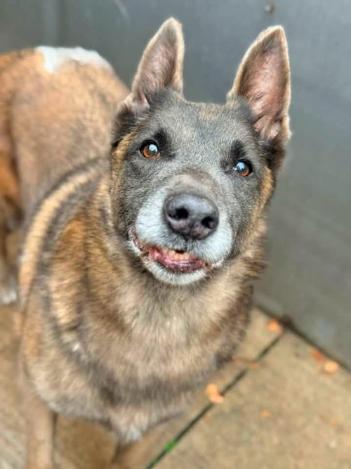 Photo 4 of Mabel located in NC
