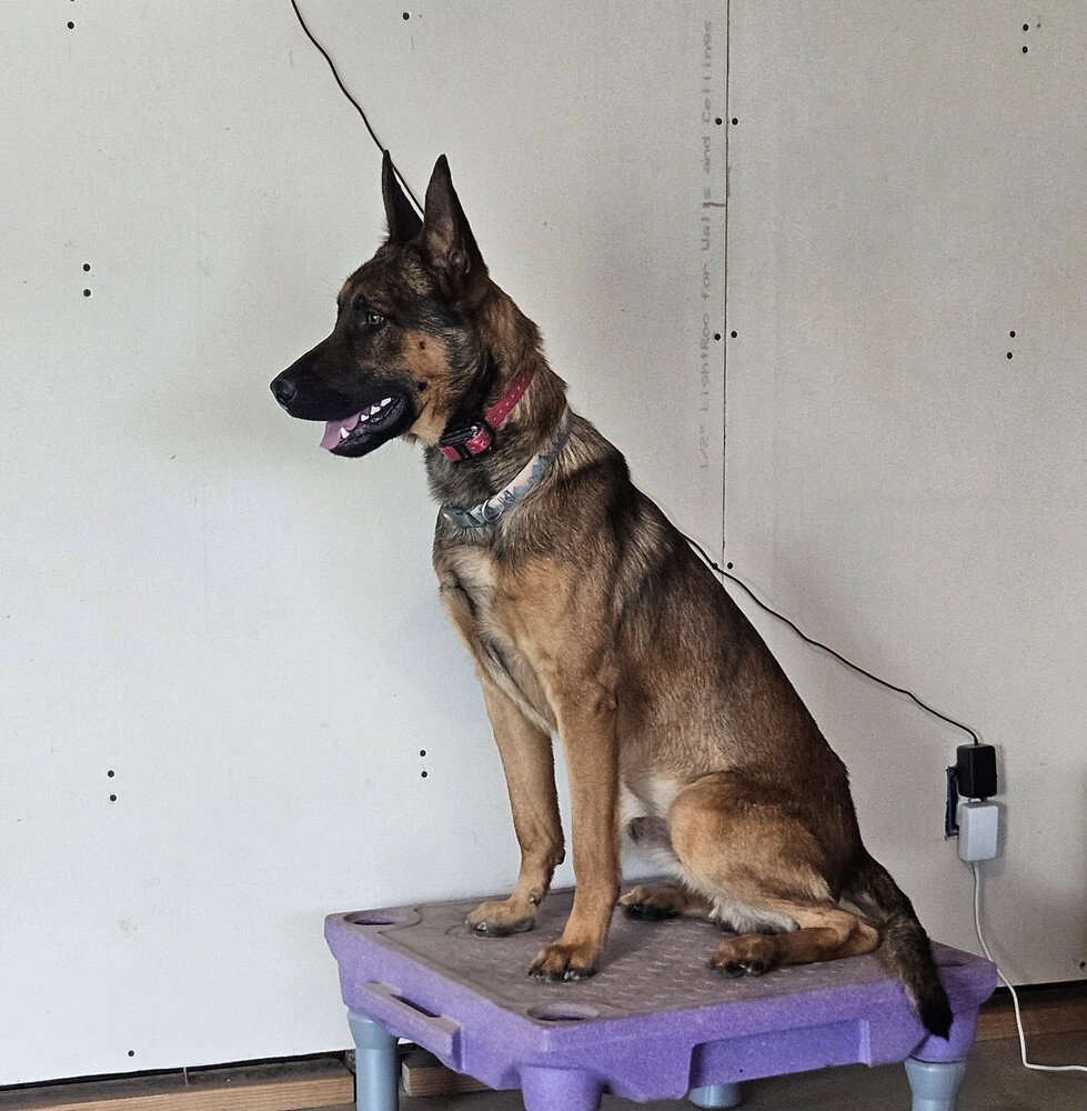 Marty - Located in CO