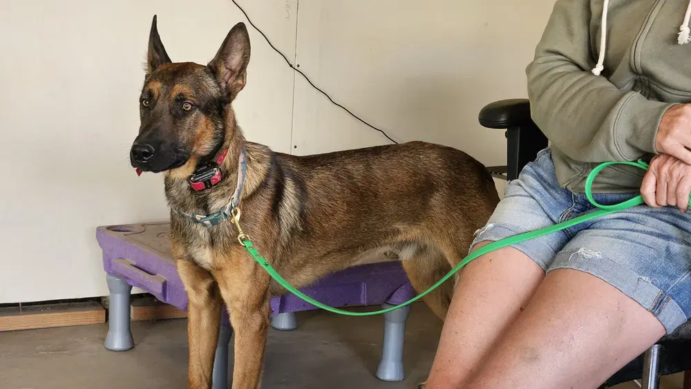 Marty - Located In Co image 3