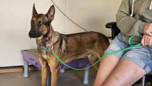 Photo 3 of Marty - Located in CO